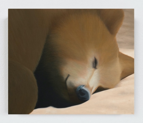 Rodrigo Hernández, What else did I see? (Kuma), 2025 , Tanya Bonakdar Gallery