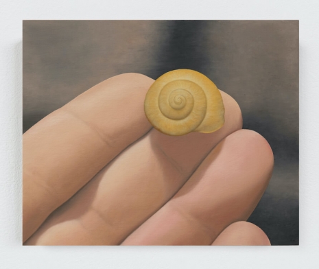 Rodrigo Hernández, What else did I see? (Rue Norvins), 2025 , Tanya Bonakdar Gallery