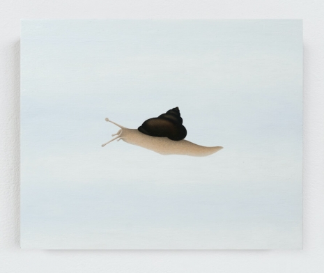 Rodrigo Hernández, What else did I see? (Time Flies), 2025 , Tanya Bonakdar Gallery