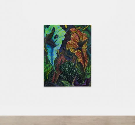 Phaan Howng , Species, 2023 , Sean Kelly