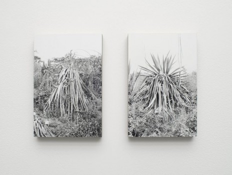 Julia Rometti & Victor Costales, Americanas (detail), 2013, Pilar Corrias Gallery