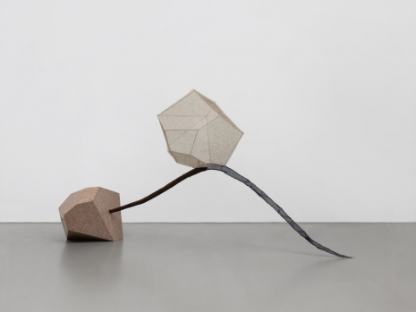 Hu Xiaoyuan, Carpel III, 2025 , David Zwirner