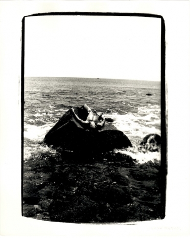 Andy Warhol , Jon Gould Splayed on Rock in Montauk, 1982, 1982 , GAVLAK