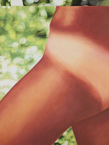 Judie Bamber , Britt Fredriksen (Miss June 1968) Detail #2, 2024 , GAVLAK