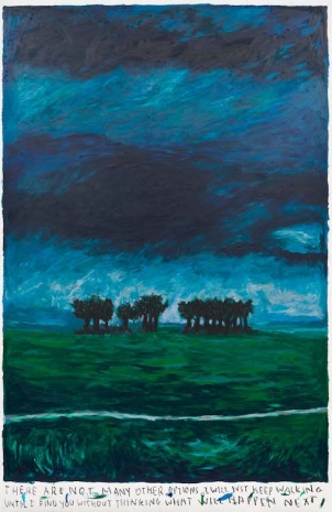 Rinus Van de Velde, There are not many other options, ..., 2025 , Tim Van Laere Gallery