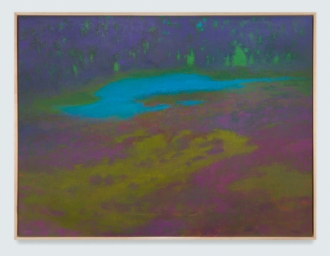 Richard Mayhew , Marsh, 2003 , White Cube