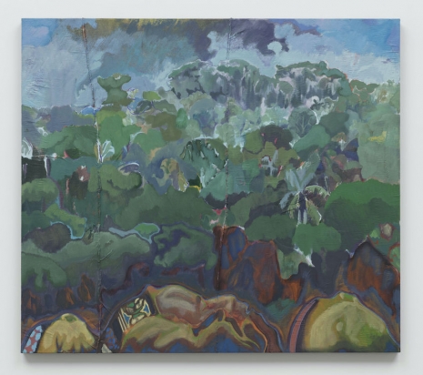 Michael Armitage , A kind of belief, 2025 , White Cube