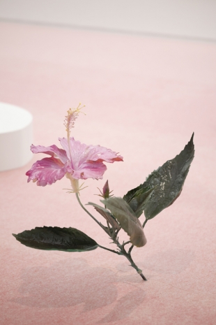 Kei Imazu , Hibiscus, 2024 , White Cube