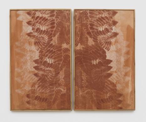 Ines Katamso , Series Biolateral 1, 2025 , White Cube