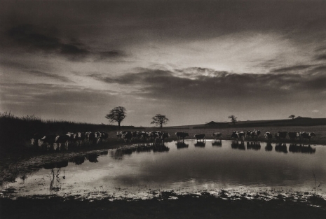 Don Mccullin, Upton Noble, flooding meadow, Somerset, 1992, Hauser & Wirth
