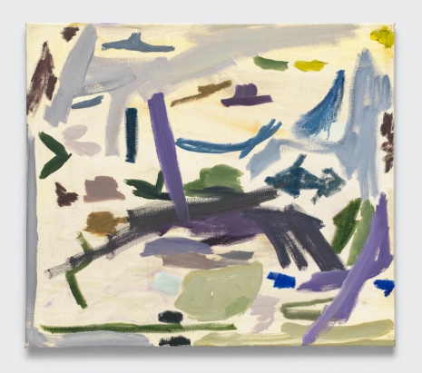 Peter Shear , Hard Light, 2025 , BLUM