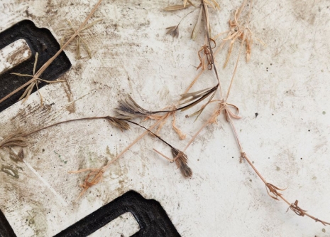 Tessa Lynch, Arena - Stalled Space - Table for a Community, 2022 , Patricia Fleming Gallery