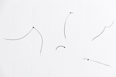 Tessa Lynch, Holding it Together, 2025 , Patricia Fleming Gallery