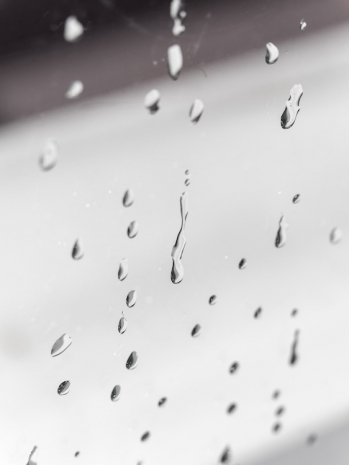 Álvaro Urbano, September, 2025, Marian Goodman Gallery