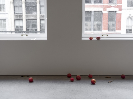 Álvaro Urbano, 51st and 7th, 2024 , Marian Goodman Gallery