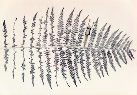 Fabien Mérelle, Empreinte d'une fougère, 2024, Keteleer Gallery