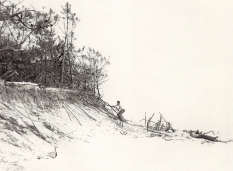 Fabien Mérelle, Forêt, 2024 , Keteleer Gallery