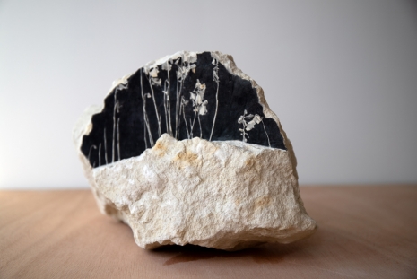 Fabien Mérelle, Le Haut des peuplier la nuit, 2024 , Keteleer Gallery