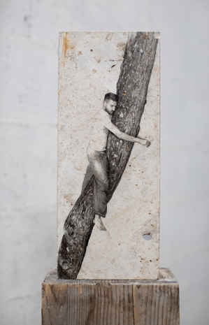 Fabien Mérelle, Cedar line, 2024 , Keteleer Gallery