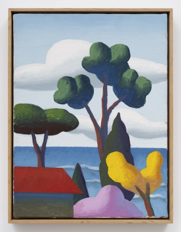 Salvo, Aprile, 2007 , Gladstone Gallery