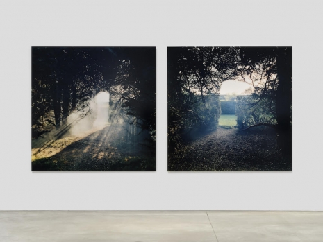 Jane and Louise Wilson, The Silence is Twice as Fast Backwards II, 2008, 303 Gallery