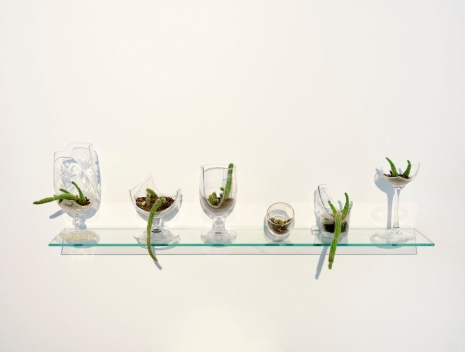 Michel Blazy, Verres cassés accidentellement entre 2022 et 2025, 2025 , Art : Concept