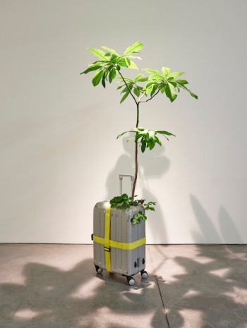 Michel Blazy, Mission 1, 2000-2025 , Art : Concept