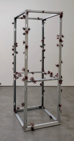 Michel Blazy, Rejoindre le cosmos avec son réfrigérateur, 2025 , Art : Concept