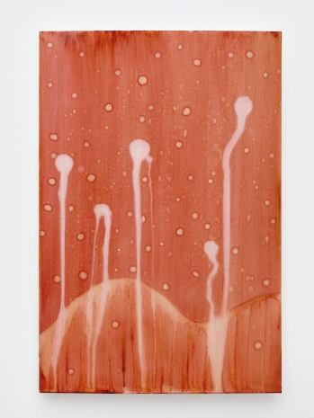 Michel Blazy, Planète B 1, 2025 , Art : Concept