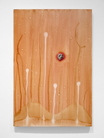 Michel Blazy, Planète B 3, 2025 , Art : Concept