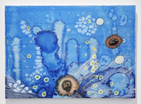 Michel Blazy, Planète B 5, 2025 , Art : Concept