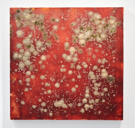 Michel Blazy, Tomate cosmique 1, 2025 , Art : Concept