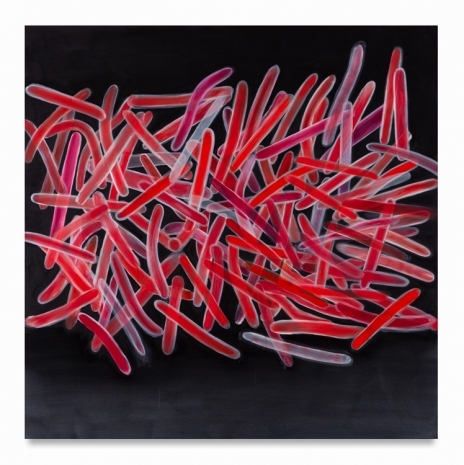 Ross Bleckner, Folding Pathways, 2025 , Capitain Petzel