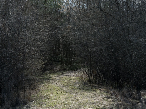 Morten Andenæs, Vår (sti), 2025, Galleri Riis