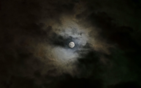 Morten Andenæs, Måne, 2025 , Galleri Riis