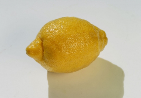 Morten Andenæs, Sitronenen, 2025 , Galleri Riis