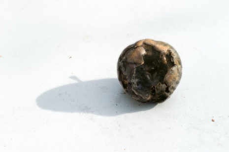 Morten Andenæs, Høst (skygge), 2025 , Galleri Riis