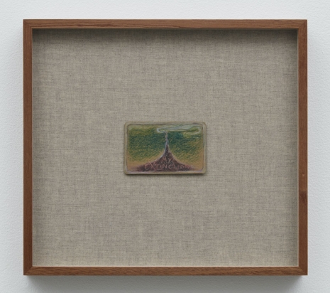 Martyn Cross, My Extinction, 2025 , Marianne Boesky Gallery