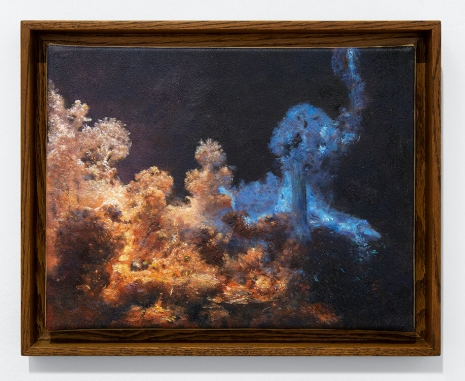 Hicham Berrada, Dilution #30, 2025, Mennour