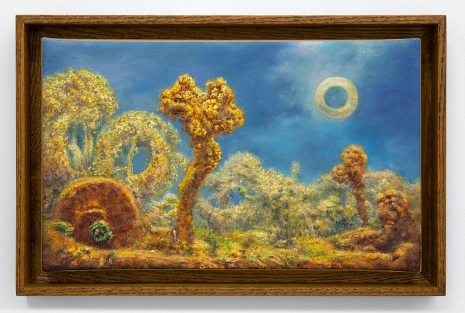 Hicham Berrada, Dilution #5, 2025 , Mennour