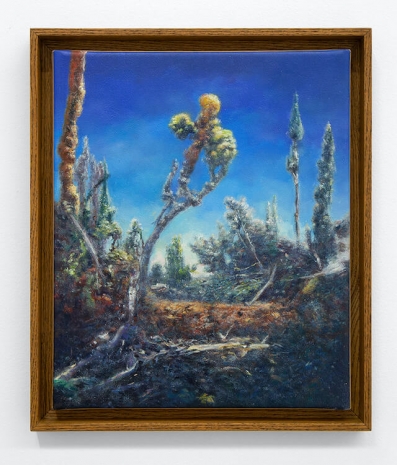 Hicham Berrada, Dilution #9, 2025, Mennour