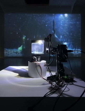 Hicham Berrada, Présage (protocole #2), 2025, Mennour