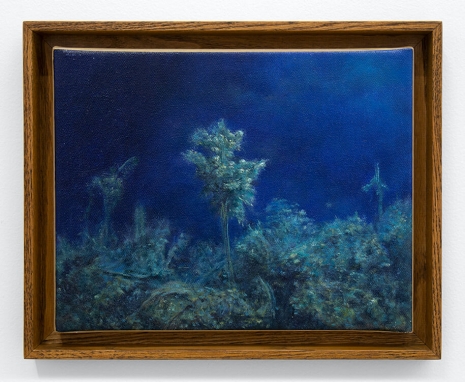 Hicham Berrada, Dilution #10, 2025, Mennour