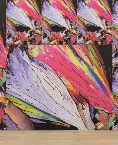 Christine Streuli, Testerone, 2025 , Galerie Peter Kilchmann