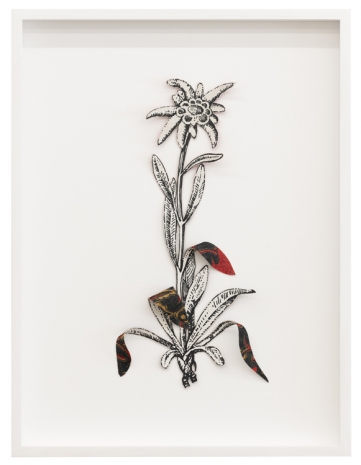 Ishita Chakraborty, Where The Wild Things Roam III, 2025 , Galerie Peter Kilchmann