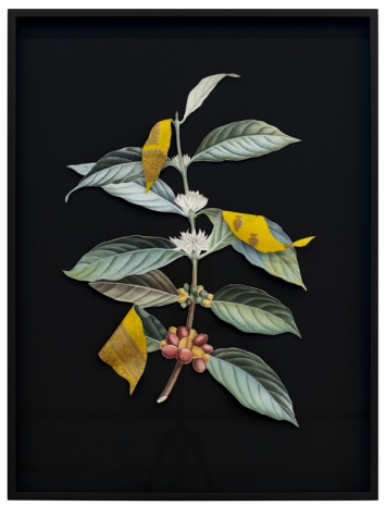 Ishita Chakraborty, Where The Wild Things Roam I, 2025 , Galerie Peter Kilchmann