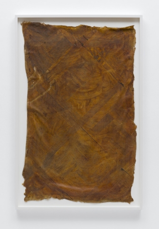 Heidi Bucher, Parkett [Ahnenhaus], 1981 , The Approach