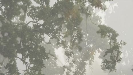 Eija-Liisa Ahtila, ON BREATHING, 2024 (STILL) , Marian Goodman Gallery