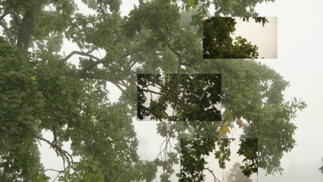 Eija-Liisa Ahtila, ON BREATHING, 2024 (STILL) , Marian Goodman Gallery