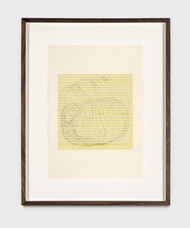 Gabriel Orozco, Untitled, 2025, Marian Goodman Gallery